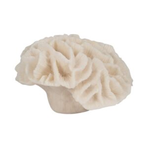 Coral Decorativo En Forma De Pétalos