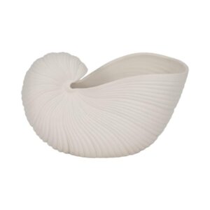 Maceta En Forma De Concha Nautilus