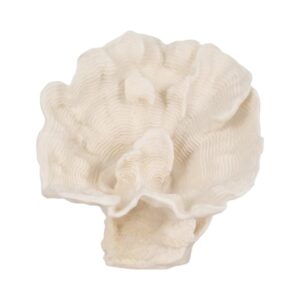 Coral Decorativo En Forma De Abanico