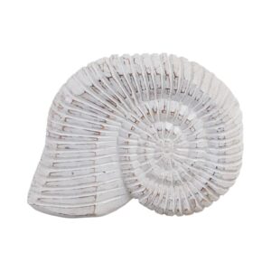 Caracol Decorativo De Madera
