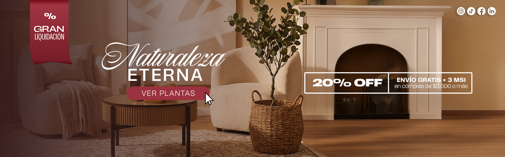 BANER ESC 0002 PLANTAS