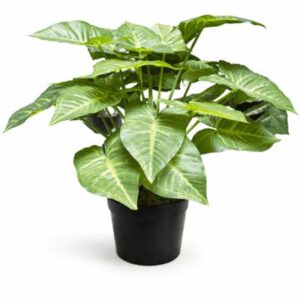Planta artificial syngonium verde en maceta negra