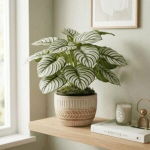 Planta artificial tipo calathea rayada en maceta negra