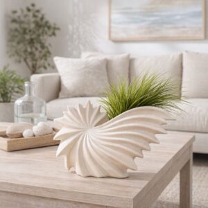 Concha decorativa acanalada