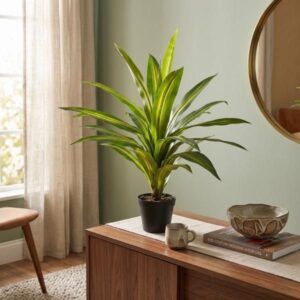 Planta artificial drácena amarilla en maceta